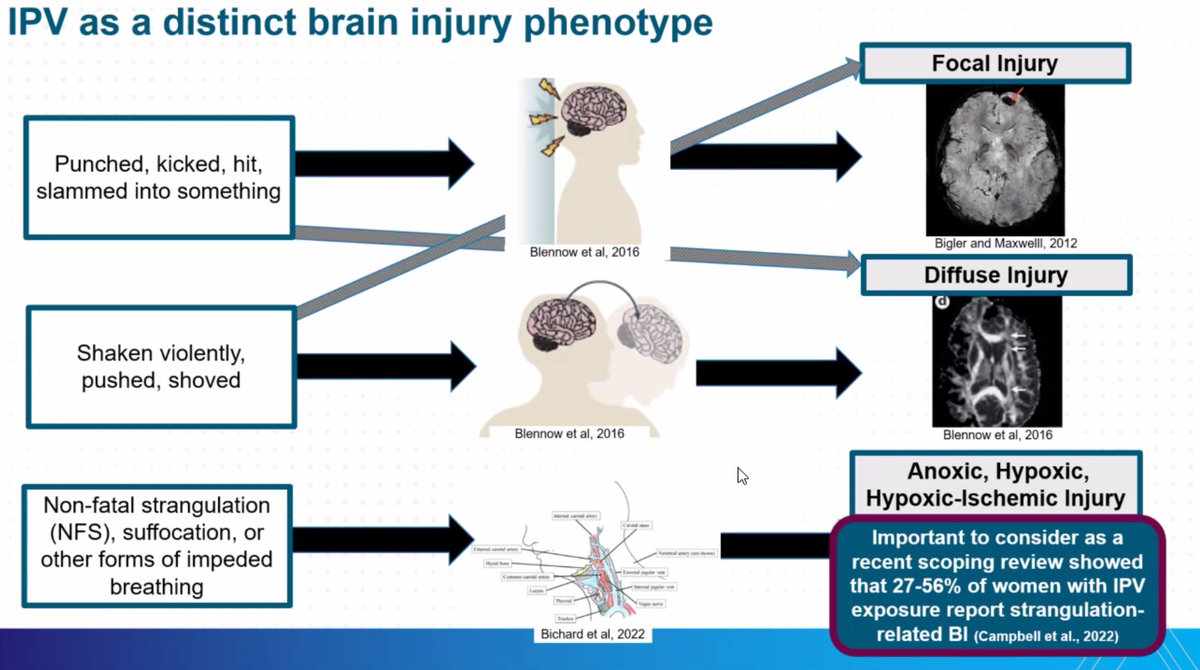 griz1's tweet image. Intimate partner violence #IPV is important cause of #TBI &amp;amp; is likely a distinct phenotype with multiple mechanisms (diffuse, focal, hypoxic). Be sure to screen &amp;amp; know what to do! @cesopenko @esopenkolab @PinkConcussions @IcahnMountSinai @Neurotrauma @ganglion11 @meeryo @UCLANsgy