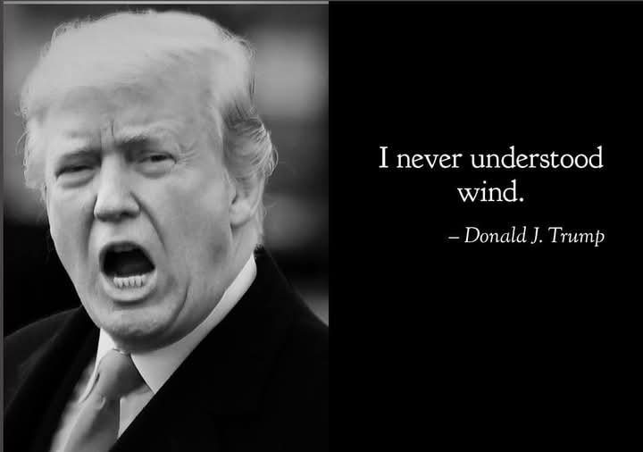 neosandy3's tweet photo. @1jag10 @jacquesBroquard @RBReich President Dumb Dumb https://t.co/AcumKM5BcL
