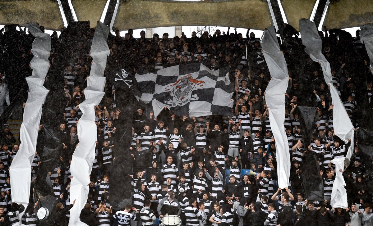 Leinster Domestic tweet media