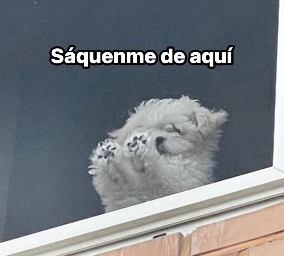 Antes que nada wenos días, ya llegué al trabajo ☝🏻..