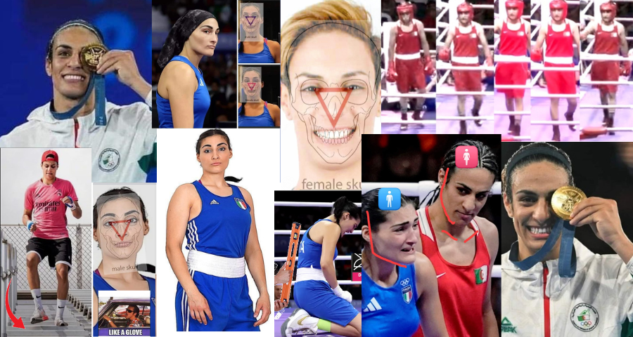 Asher Moses tweet media