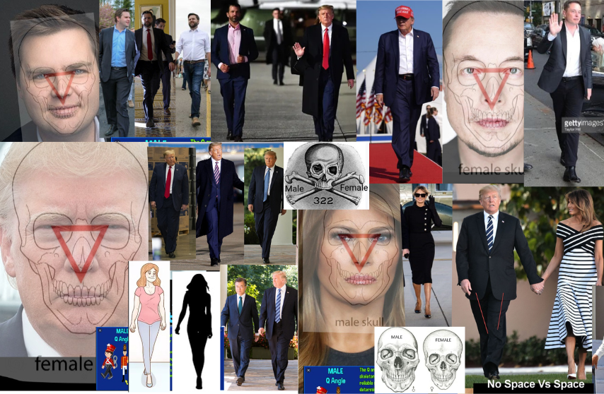 Asher Moses tweet media