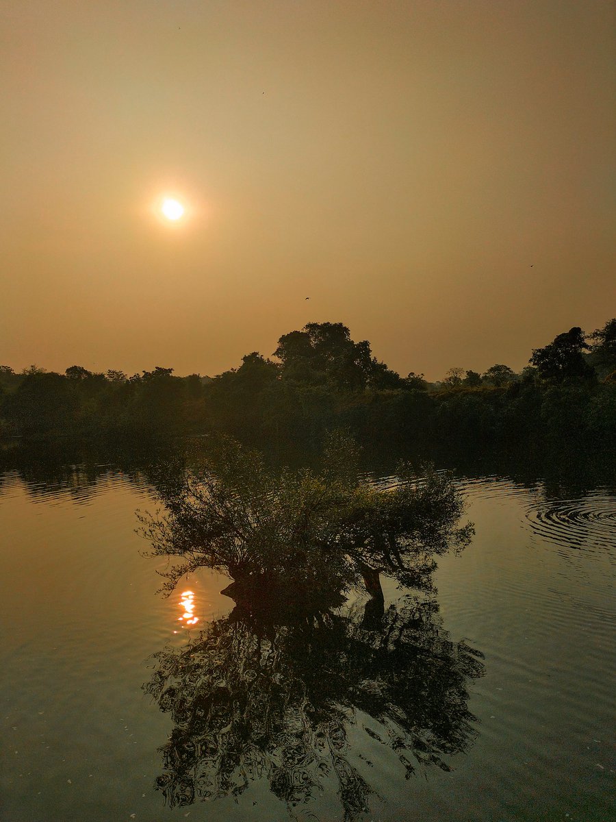 void_harshal's tweet image. 