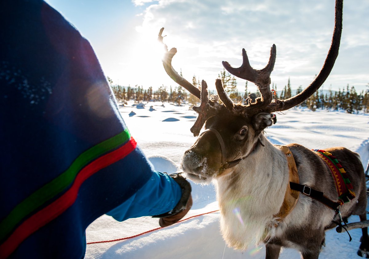 Today we highlight Sami National Day, which is celebrated by all Sami whether they live in Sweden, Norway, Finland or Russia. 

Sápmi – the land of the Sami – extends across the northernmost part of Finland, northern Norway’s coast and inland, northern Sweden and the Kola