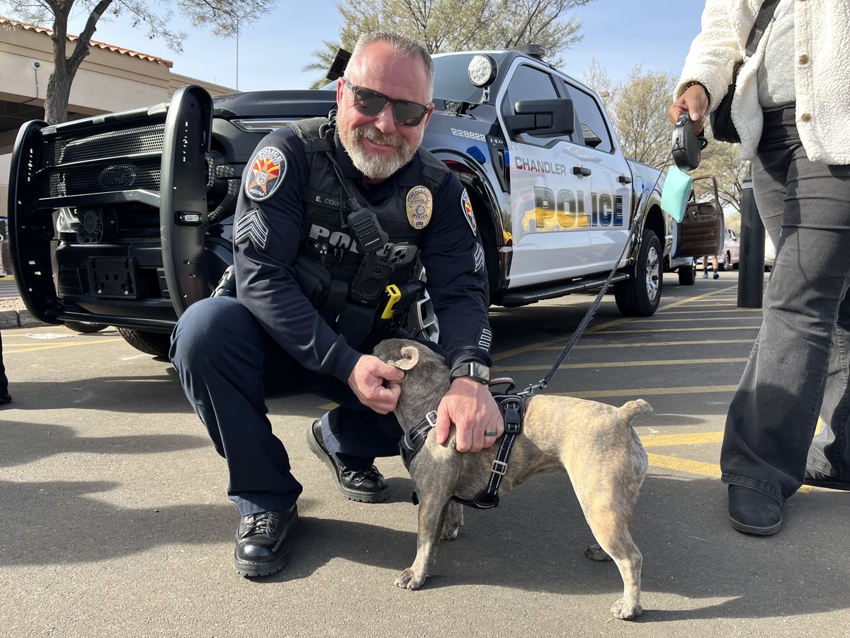 Today, we're grateful for the community-minded officers who make up our Chandler PD team!

From officer to volunteer positions, you're invited to join the best department in Arizona and further your career in law enforcement and public safety. 👮‍♀️