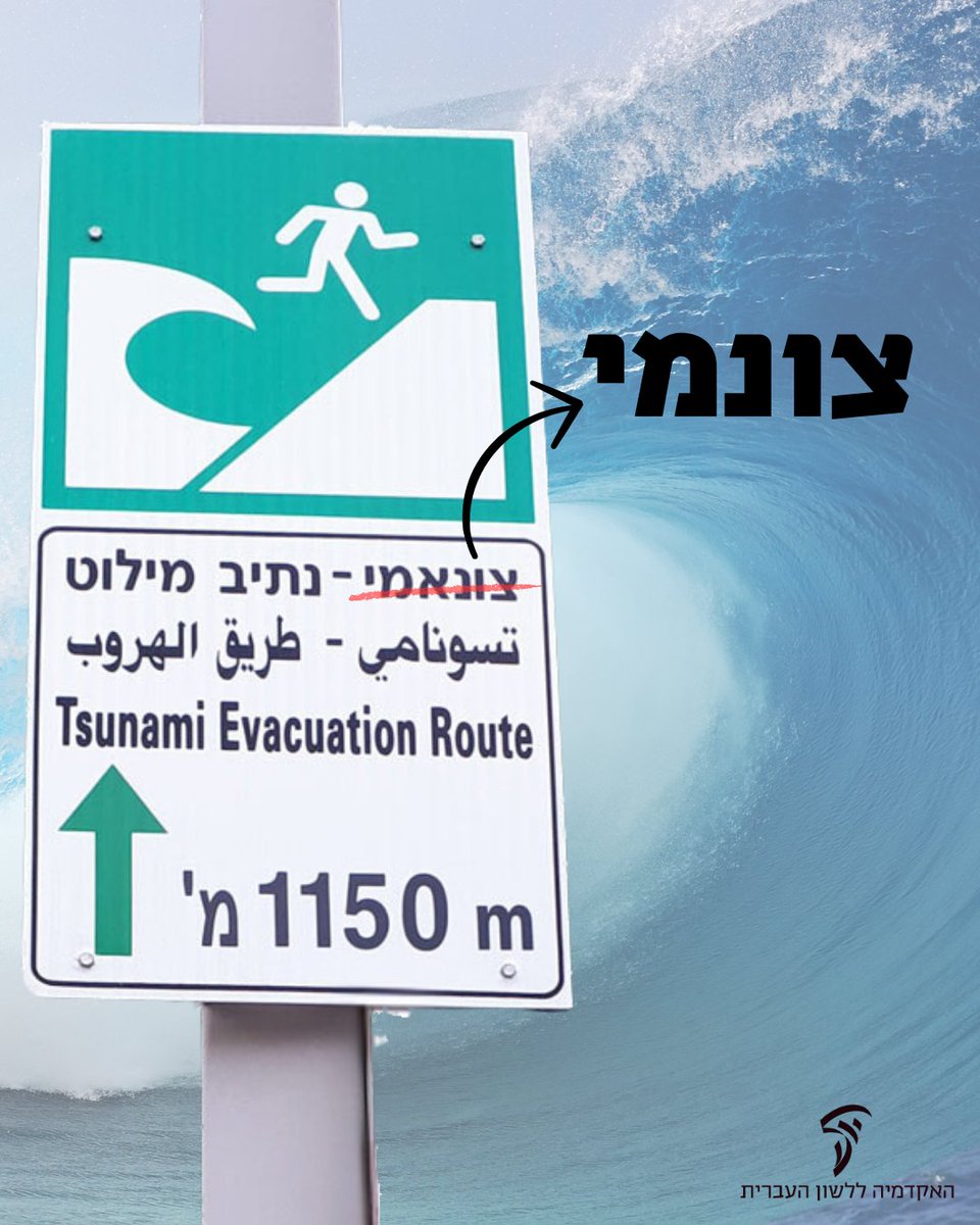 HebAcademy's tweet image. הידעתם? בעבר נקבעו לצד השם צוּנָמִי שתי חלופות עבריות: נַחְשׁוֹל סֶיְסְמִי ונַחְשׁוֹל רַעַשׁ.

במילון למונחי חירום משנת תשס"ז (2007) ויתרו על החלופות העבריות ונשארו עם המונח הלועזי בלבד: צונמי.

מדוע צונמי ולא "צונאמי"? בדרך כלל אין מציינים תנועת a באם קריאה, ומוסיפים אל"ף רק