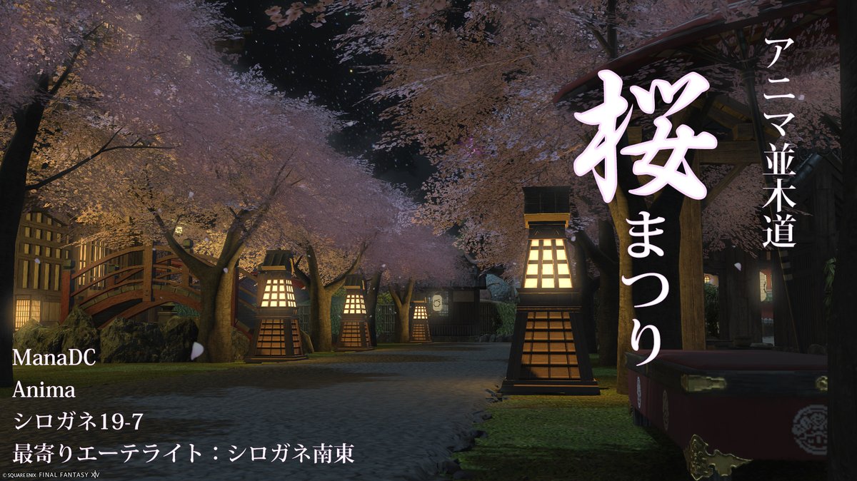 Amelia_Tiamat's tweet photo. #アニマ並木道　では桜まつりを開催中です！ 
 昼も夜も楽しめる風情豊かな桜のトンネル。
昼間は美しい花びらが舞う中を散策し、夜には灯篭の灯りが照らす幻想的な夜桜をご堪能ください。
日本の伝統美を感じるひとときをお楽しみいただけます。   
#FF14 #FF14ハウジング #GPOSERS #FF14風景 https://t.co/DGXzJAkNuC