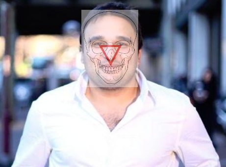 Tim Lince tweet media