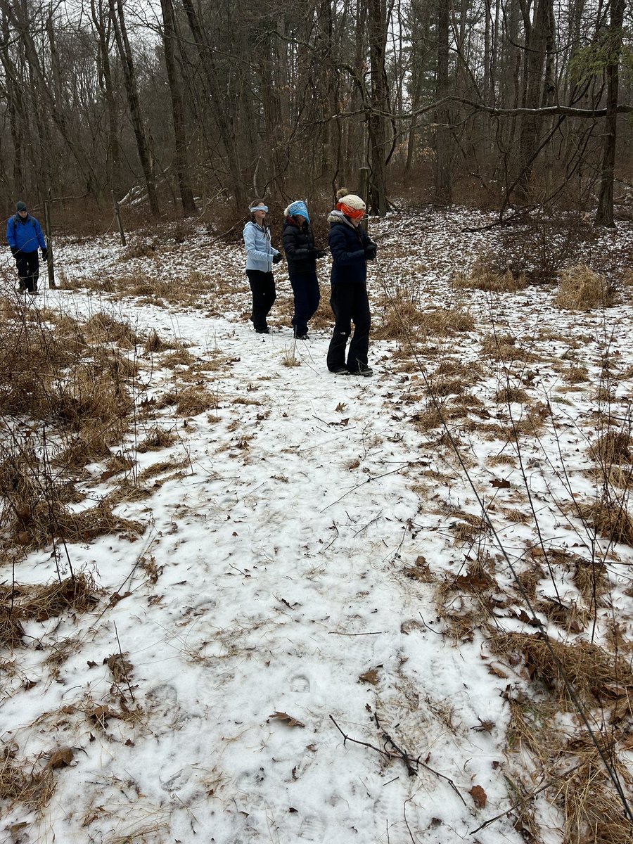 MsMullan_LS tweet media