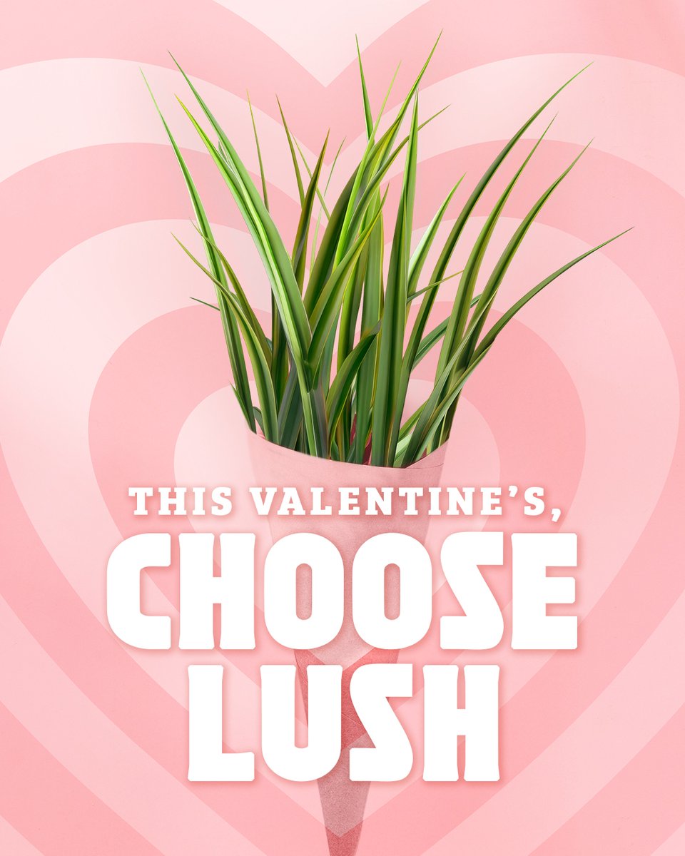 taterfarms's tweet photo. 💚 Roses are red, violets are blue… this lush green grass will keep you smitten too. 💚

This Valentine's Day, fall in love with something greener—Viridian. A new St. Augustine variety designed with enhanced resilience and beauty. Coming soon! 🌱

‼️As one of the few farms gr... https://t.co/N26mmczXB5