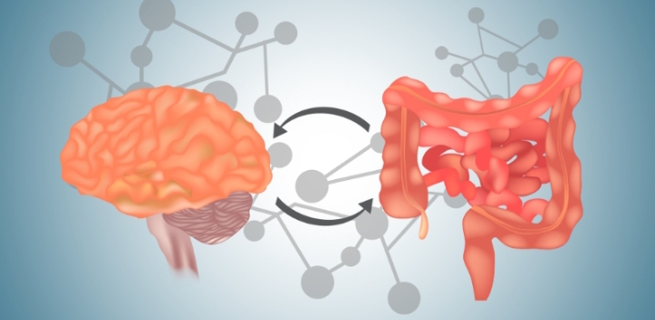 Did you know that 90% of your body's serotonin is made in your gut—not your brain?

This is why gut...