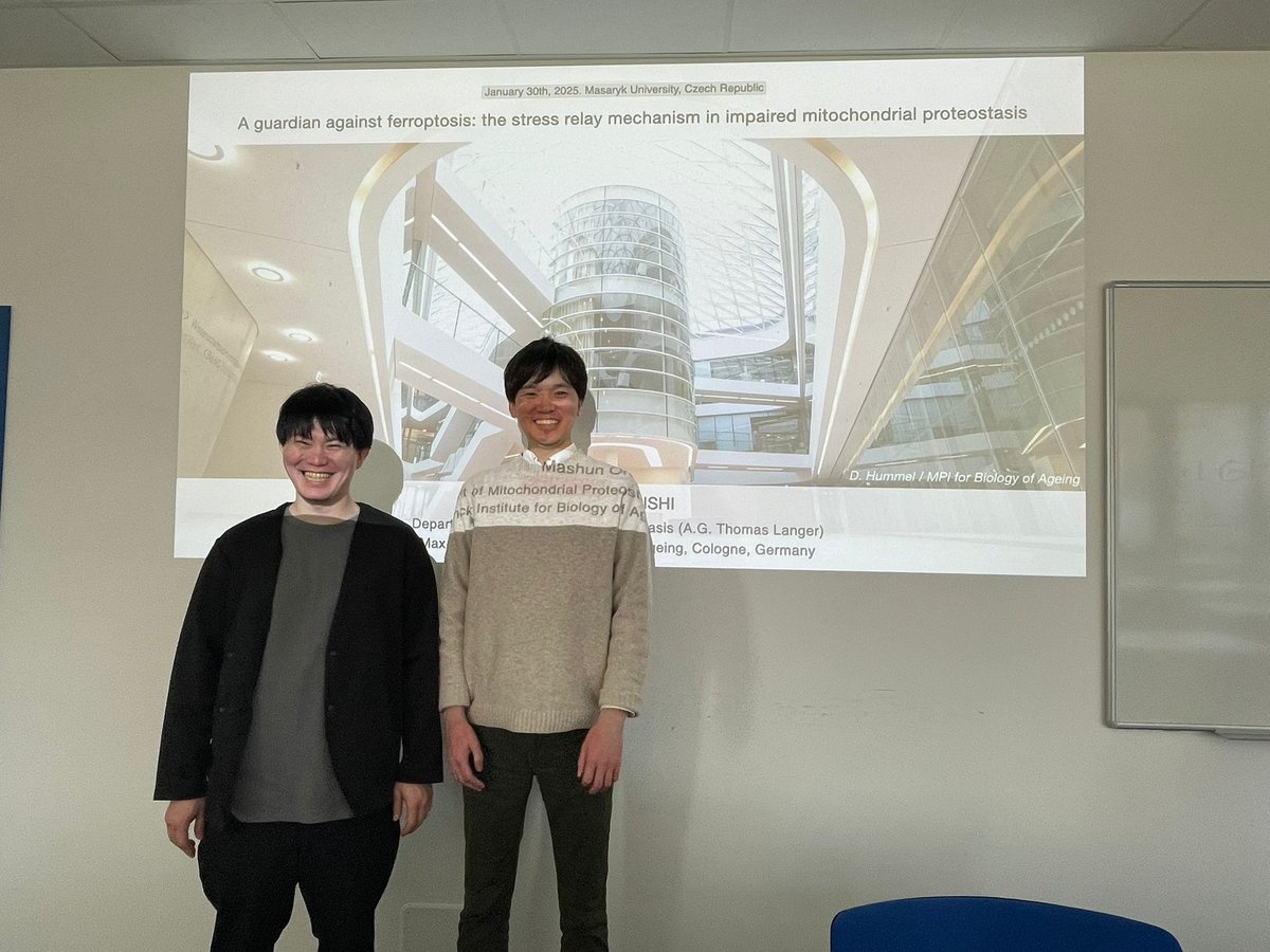 Masarik Cancer Research Lab tweet media