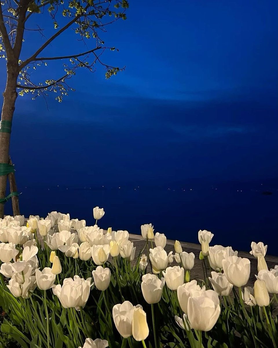 بحر 🌊 (@butterflless) on Twitter photo 