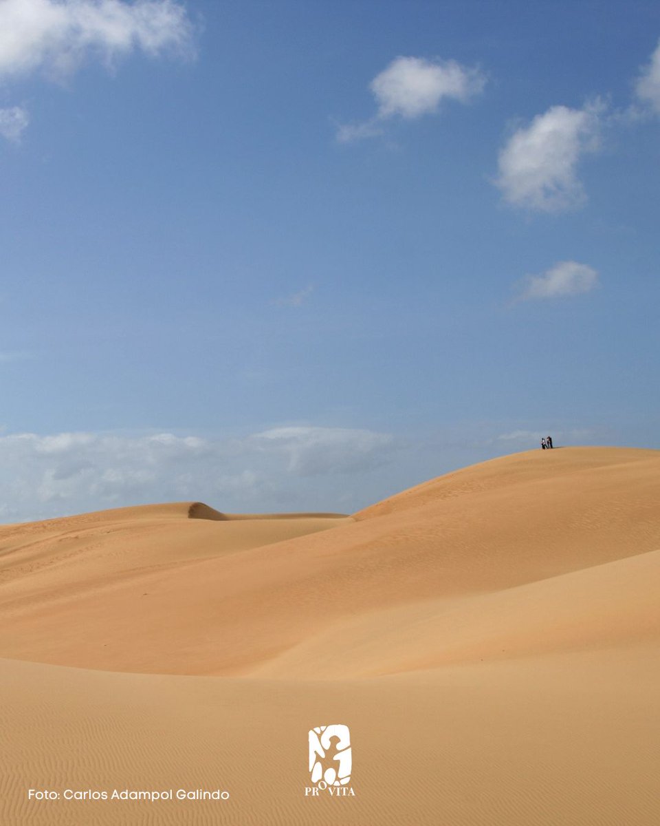 🎉¡Celebremos los 51 años del Parque Nacional Médanos de Coro! 🥳

Este impresionante lugar posiblemente sea el desierto más conocido de las costas caribeñas. Ubicado en el estado Falcón, también se le llama Las Arenas Nómadas, debido a que sus asombrosas dunas se desplazan con