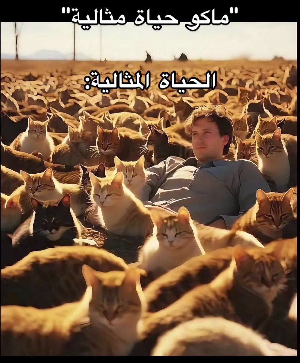 🕸 (@fvtmh) on Twitter photo 