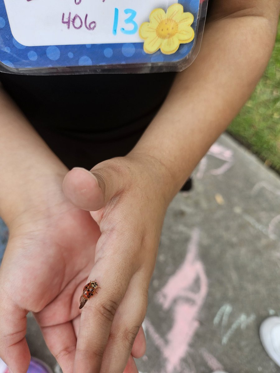 Rebecca Lavergne (@mrslavergne20) on Twitter photo Outside time #Prek4 #keeble #Headstart <a href="/Keeble_AISD/">Keeble Primary School</a> <a href="/AldineHeadStart/">Aldine Head Start</a> <a href="/DozierMrs/">Beoulah McIntyre-Dozier</a> <a href="/HardinCandace/">Candace Hardin</a> <a href="/MsCrockett_AISD/">Tasha Crockett, MSW</a> <a href="/soniacruso/">Sonia Cruz Soto</a> Outside time #Prek4 #keeble #Headstart <a href="/Keeble_AISD/">Keeble Primary School</a> <a href="/AldineHeadStart/">Aldine Head Start</a> <a href="/DozierMrs/">Beoulah McIntyre-Dozier</a> <a href="/HardinCandace/">Candace Hardin</a> <a href="/MsCrockett_AISD/">Tasha Crockett, MSW</a> <a href="/soniacruso/">Sonia Cruz Soto</a>