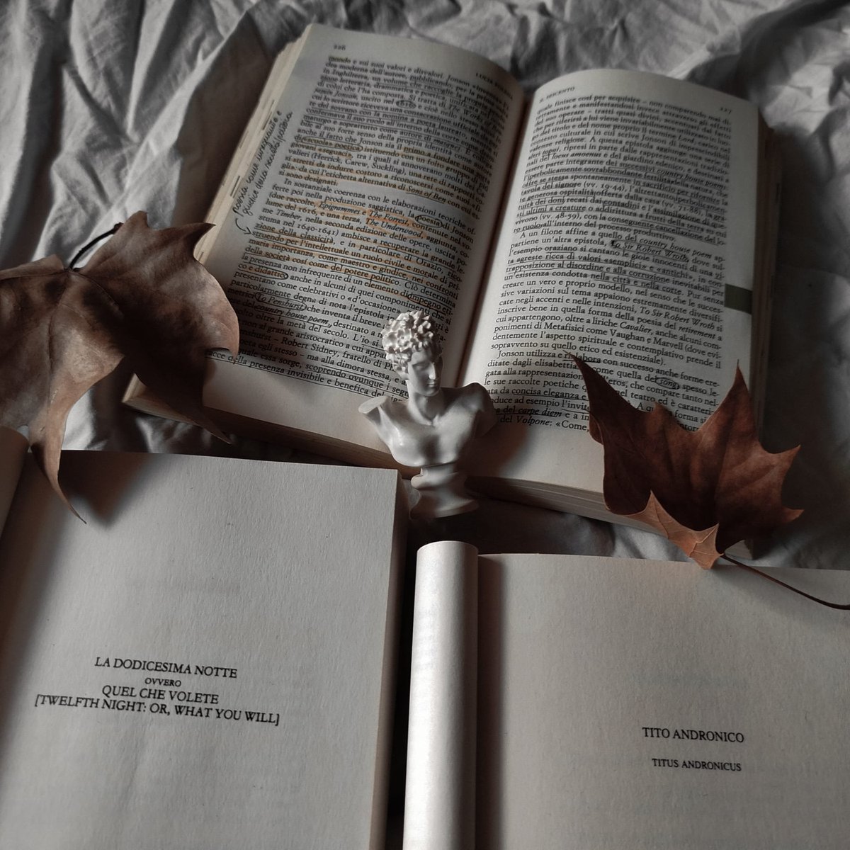 skinkebee_'s tweet image. It's often difficult for me to explain what literature makes me feel, so I'll let these photos speak for me 🕯️📜
#booktwt #literaturestudent #AestheticNotes