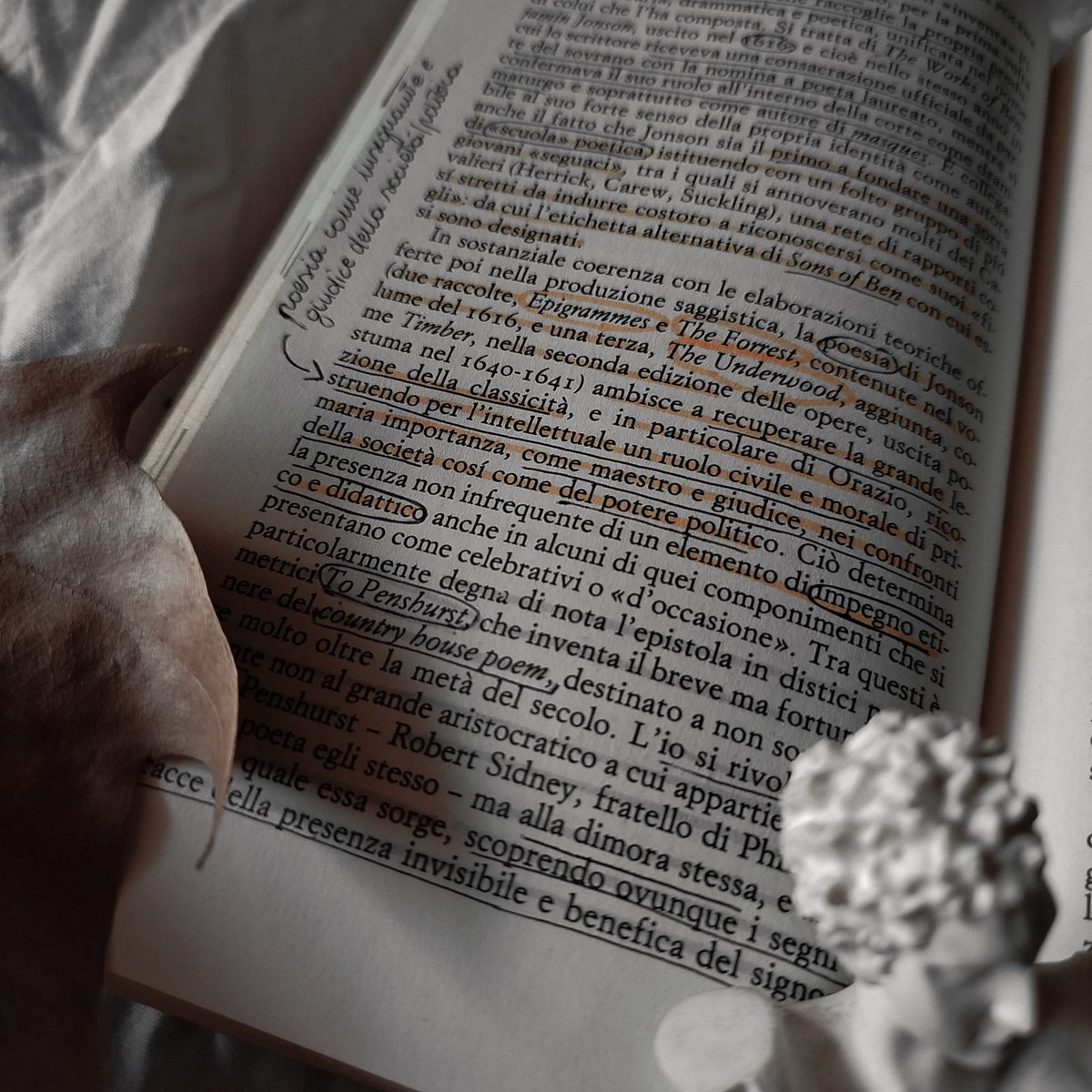 skinkebee_'s tweet image. It's often difficult for me to explain what literature makes me feel, so I'll let these photos speak for me 🕯️📜
#booktwt #literaturestudent #AestheticNotes