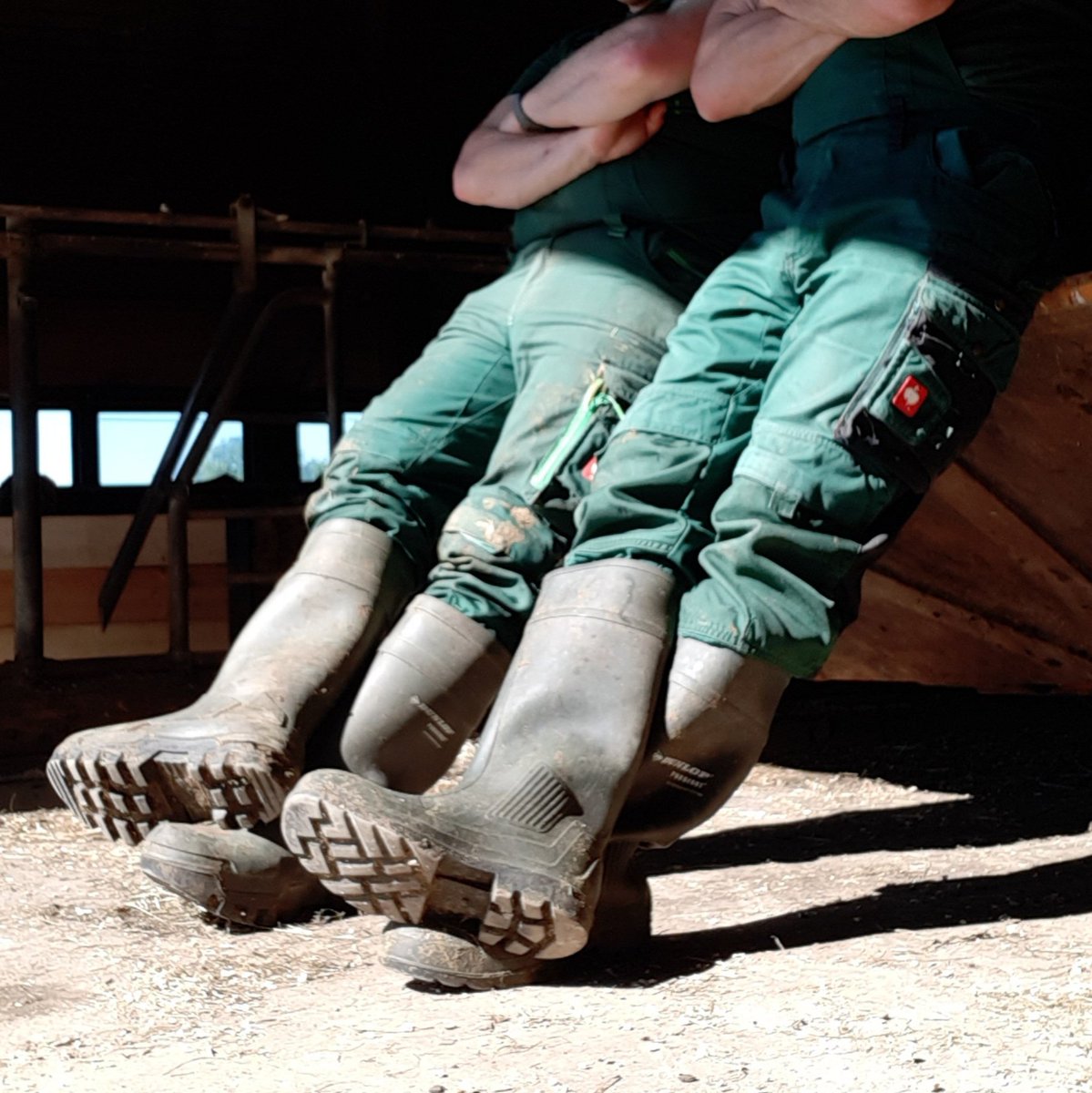 PuroHaix (@haixpuro) on Twitter photo 