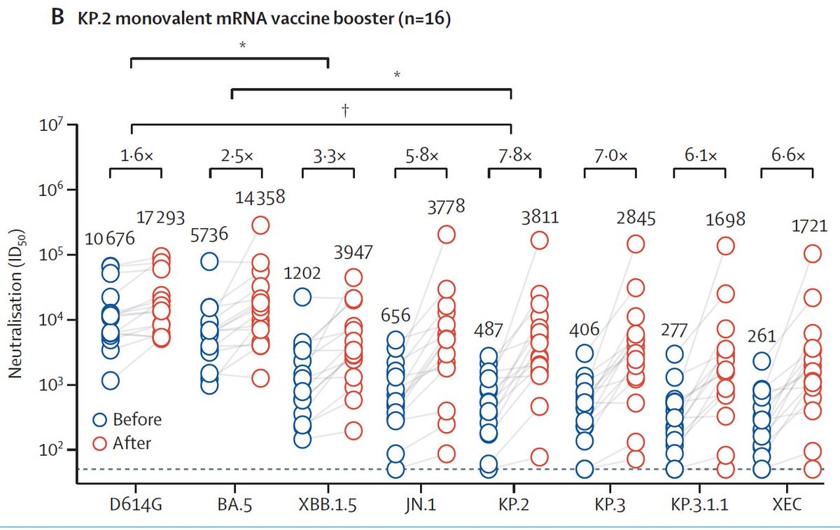 EricTopol's tweet image. The immune response from the Covid boosters introduced last September is holding up very well against current circulating variants 👍thelancet.com/journals/lanin…