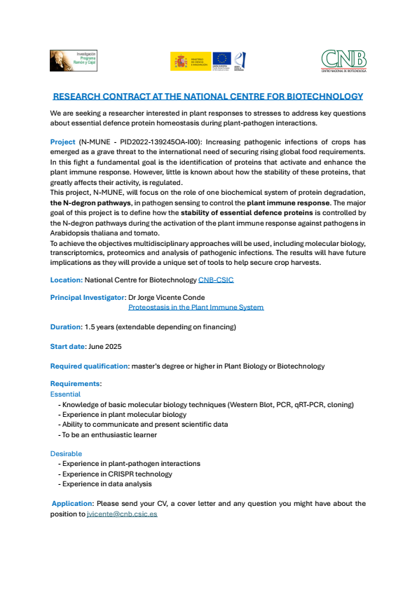 arbona_vicent's tweet photo. ⚠️Research Contract Offer!! N-MUNE project
Title: Control of proteostasis at the basis of plant immunity
Starting date: June 2025
Contact: Jorge Vicente @CNB_CSIC 
https://t.co/EKmC2HMBDp
✉️jvicente@cnb.csic.es
See details below: https://t.co/I7GCUL1b7n