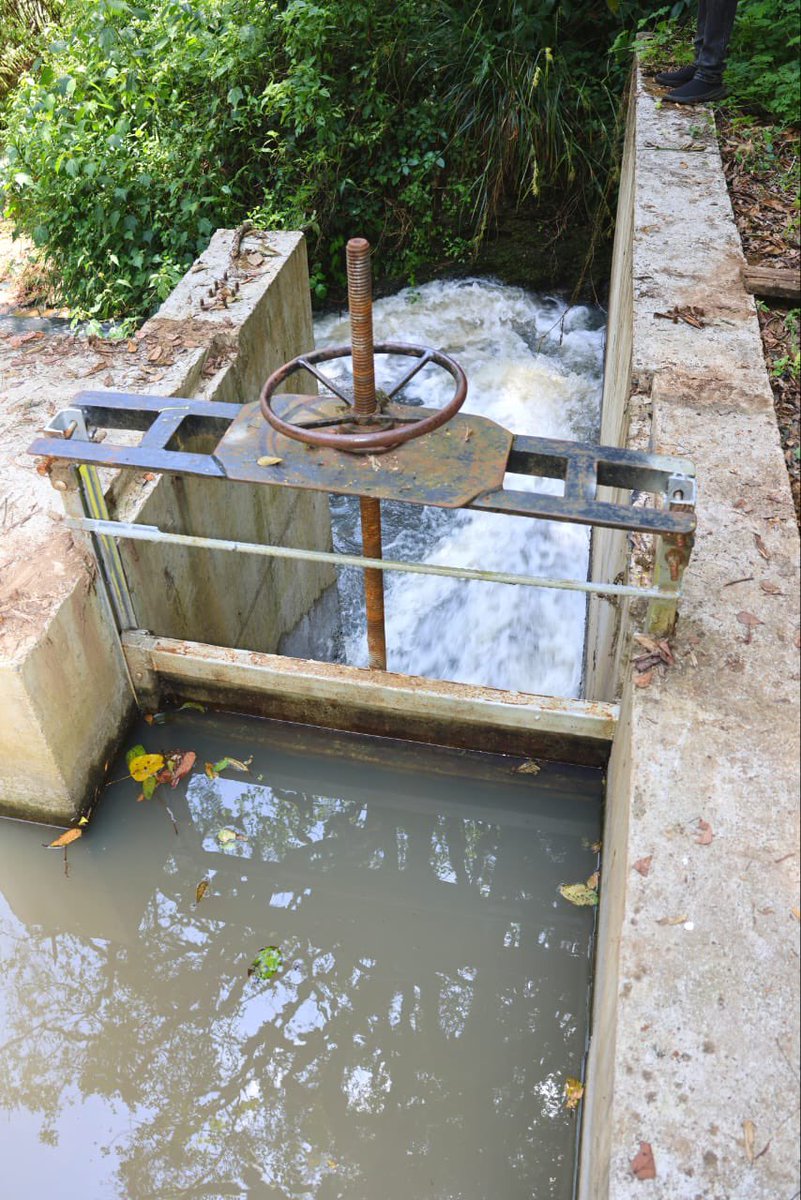 mugaa_eric's tweet photo. I have conducted an inspection of the damage on the Conveyance Infrastructure of Rwabura Irrigation Development Project in Gatundu Sub-County, Kiambu County. 

I have noted with great concern the damage caused by  landslides, which disrupted the delivery of water abstracted from Thiririka and Rwabura Rivers deep in Kinale Forest. 

To that end, I have directed the contractor to immediately remedy and rehabilitate the two systems to full working status as the project is still under Defects Liability Period. 

The project has an irrigation area of 1,500 acres and 3,000 members. 

The project initially commissioned by the President H.E @WilliamsRuto before the rains damage, included the construction of intake and sedimentation basins, as well as a conveyance system for Rwabura and Thiririka. 

This project will greatly contribute to the achievement of the bottom-up transformative agenda by increasing agricultural productivity, eradicating poverty and reducing unemployment.