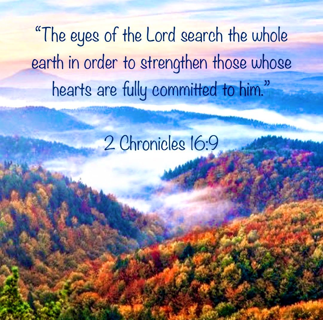 sprec61551's tweet photo. 2 Chronicles 16:9
For the eyes of the Lord run to and fro throughout the whole earth, to shew Himself strong in the behalf of them whose heart is perfect toward Him. https://t.co/YNVo7sn6Ju