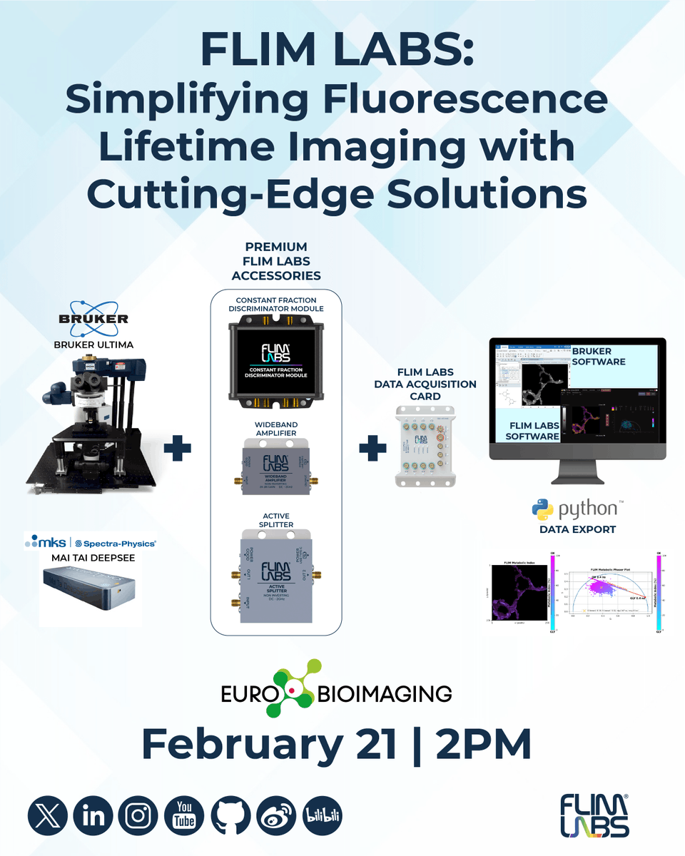 FlimLabs's tweet photo. 🔬 Curious about our latest upgrade for the #BrukerUltima #fluorescencemicroscope?
Join the @EuroBioImaging #TechExchange free webinar and discover how to simplify and enhance #FluorescenceLifetime Imaging with cutting-edge solutions.
Don’t miss out!
👉 https://t.co/vdWeemyAij https://t.co/o9RZXwcevX