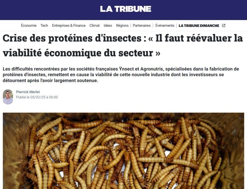CorentinBiteau's tweet photo. 🚨 L’élevage d’insectes en crise 🚨

Ÿnsect et Agronutris, deux des leaders du secteur, sont en grande difficulté, et sont tous deux en procédure de sauvegarde.

J'ai été interviewé hier dans La Tribune - Lire mon analyse ici : https://t.co/9LAKyTVoWB https://t.co/5FxU5W8FLi