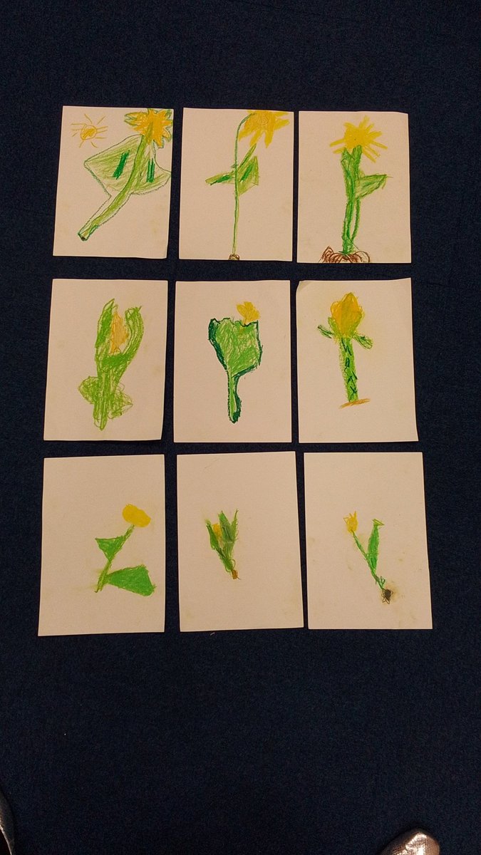 Shortstown Primary tweet media