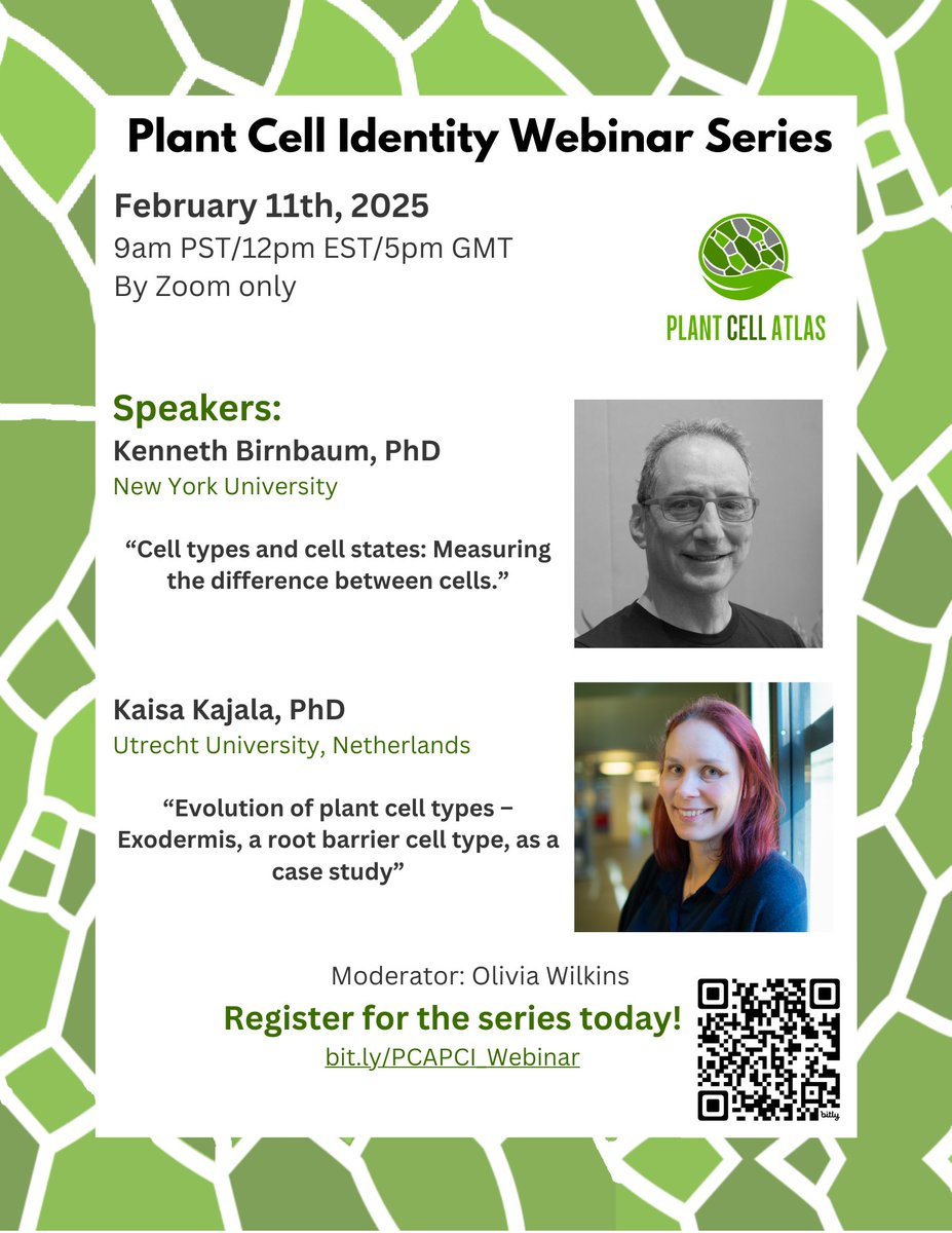 PlantCellAtlas.bsky.social tweet media