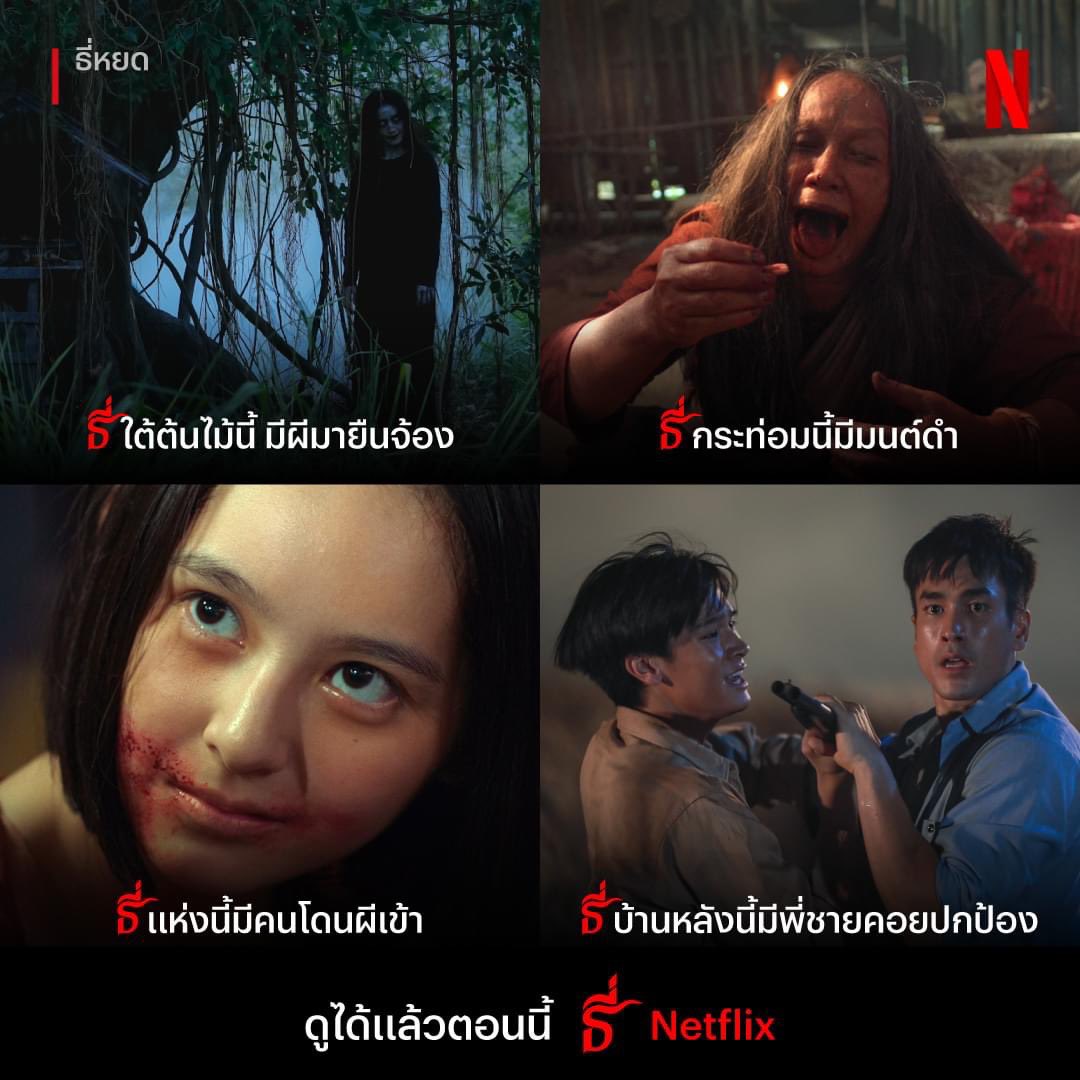 🐠Netflix พร้อมส่ง🫧

7วัน —รีเหลือ 42฿
30วัน —รีเหลือ 97฿

แบบTV
7วัน — 65฿
30วัน — 175฿

จอส่วนตัว4K/เปลี่ยนชื่อจอได้
รับเคลมเมลโดนปิด-ติดยืนยัน✅

🍿สั่งซื้อที่ไลน์ @250sczxj /ลิ้งค์ตรงbio

#เน็ตฟลิกซ์ราคาถูก #หารเน็ตฟลิกซ์ #หารnetflix #หารnetfilx #หารnetflixราคาถูก #NetflixTH