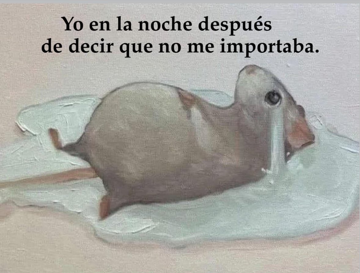 memes feos yo qué sé (@memefeos) on Twitter photo 