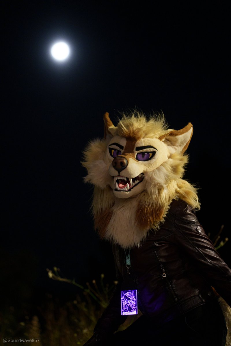 It's national werewolf day! 🌕🐺
Hope I'm not too late for the party?