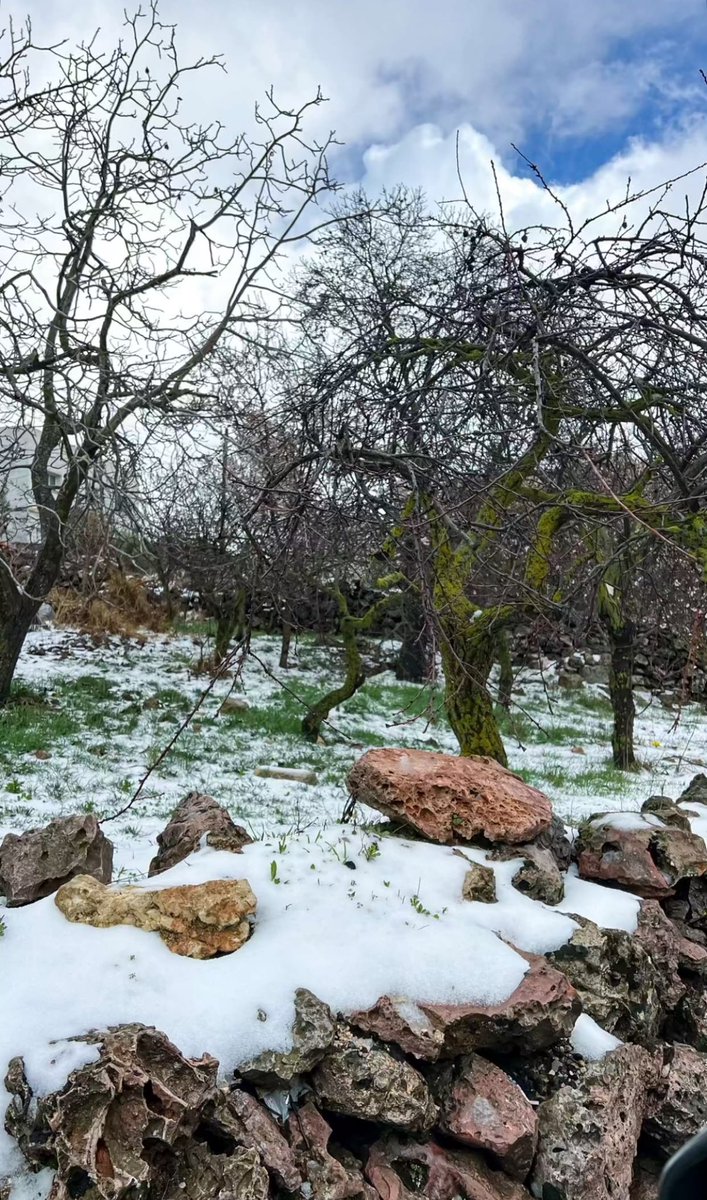 67arr's tweet image. من ثلوج الأردن🇯🇴 #عشوائيات_اليوم #عشوائيات