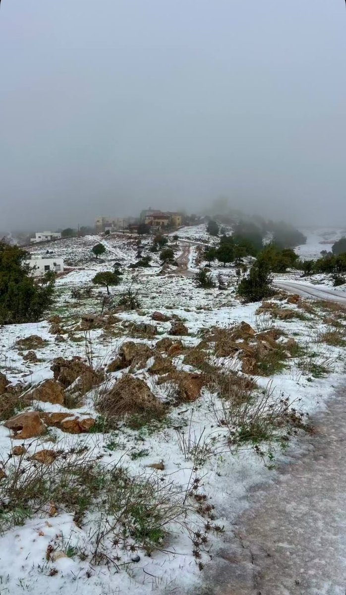 67arr's tweet image. من ثلوج الأردن🇯🇴 #عشوائيات_اليوم #عشوائيات