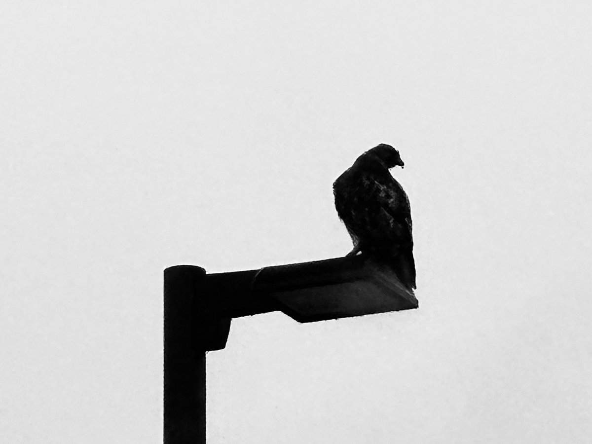 Snow/ice removal surveillance crew at <a href="/PennStHershey/">Penn State Health</a>