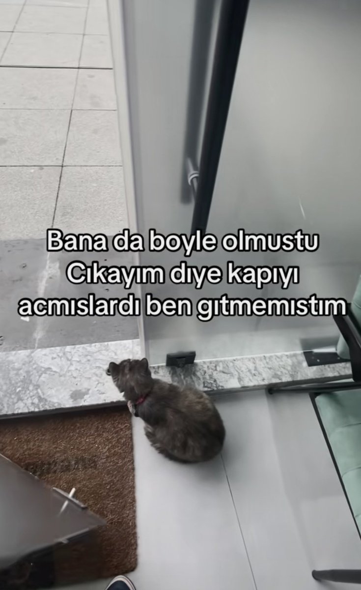 ANLIK (@anlikmod) on Twitter photo 