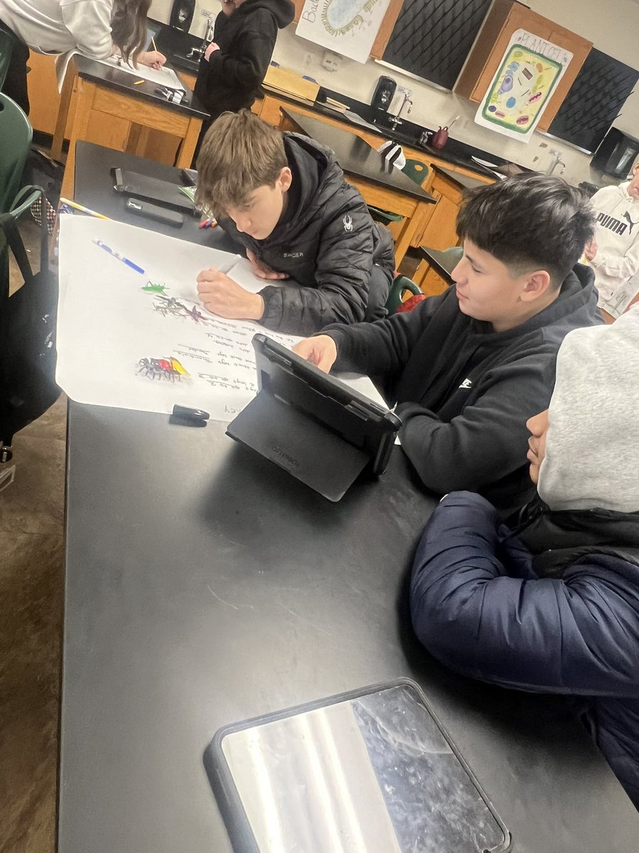 Demetra kouspos tweet media