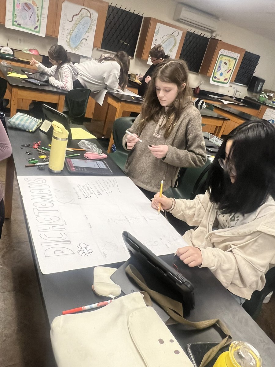 Demetra kouspos tweet media