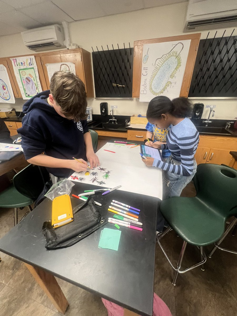 Demetra kouspos tweet media