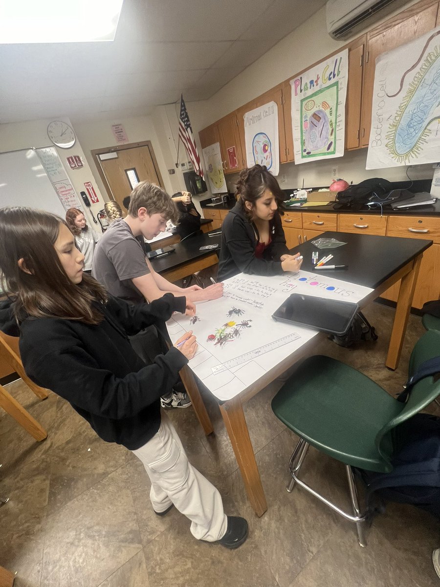 Demetra kouspos tweet media