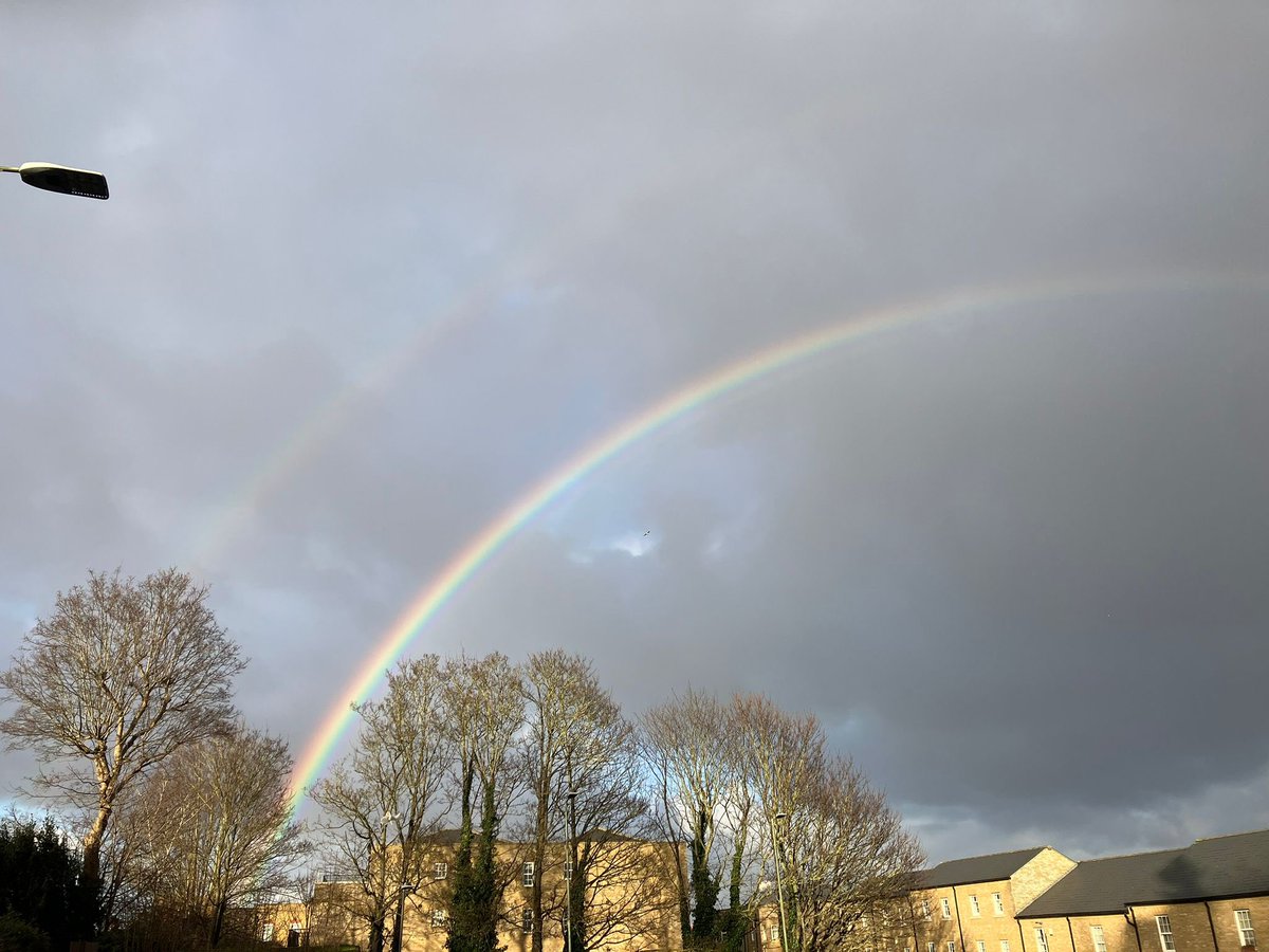 Tris Osborne MP tweet media