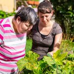 Photo by Disability Partnerships (@dpp2016)