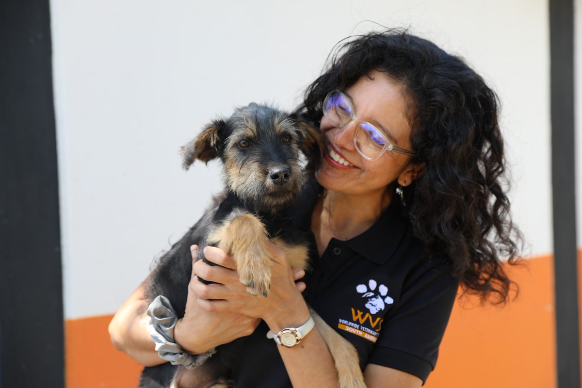 Young Vets Club tweet media