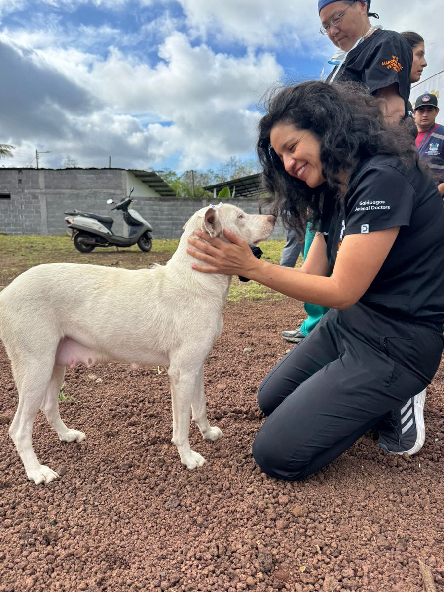 Young Vets Club tweet media