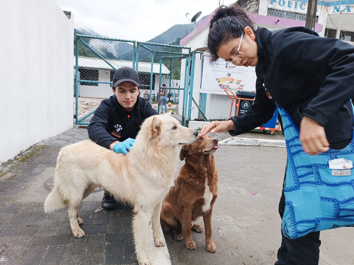 Young Vets Club tweet media