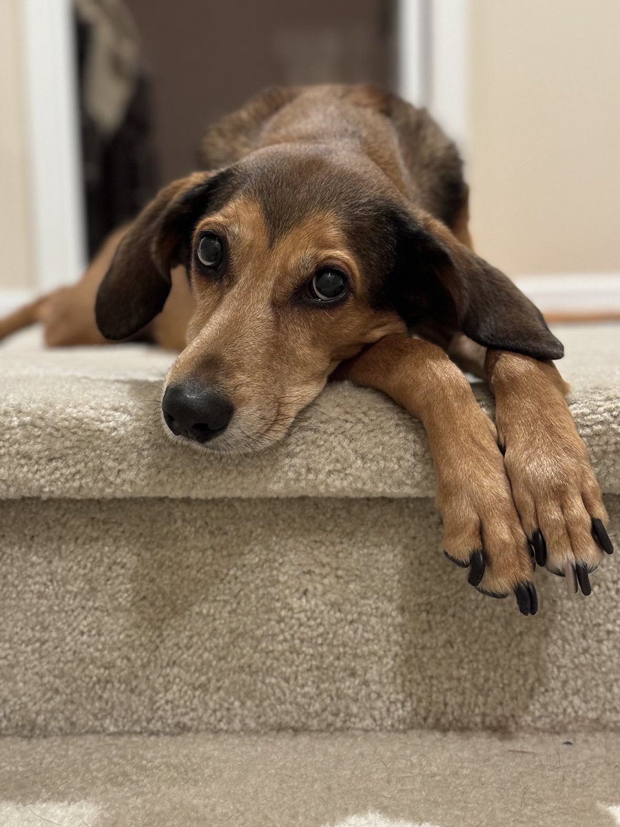 ⁦⁦<a href="/alexxpowers/">Alex Powers</a>⁩