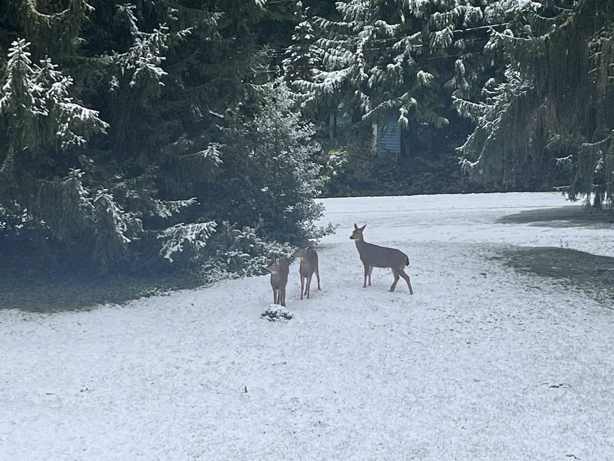 Nate ‘knaught’ Beck tweet media