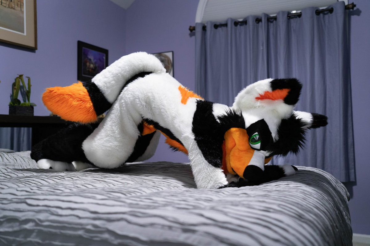 Jackal pose